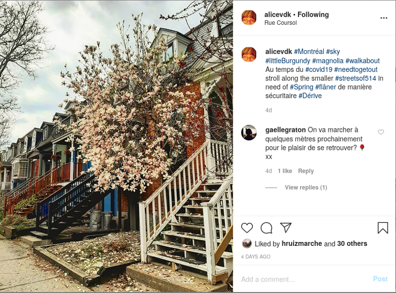 Capture d’écran du compte instagram d’Alice van der Klei